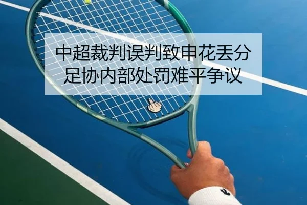 中超裁判误判致申花丢分 足协内部处罚难平争议